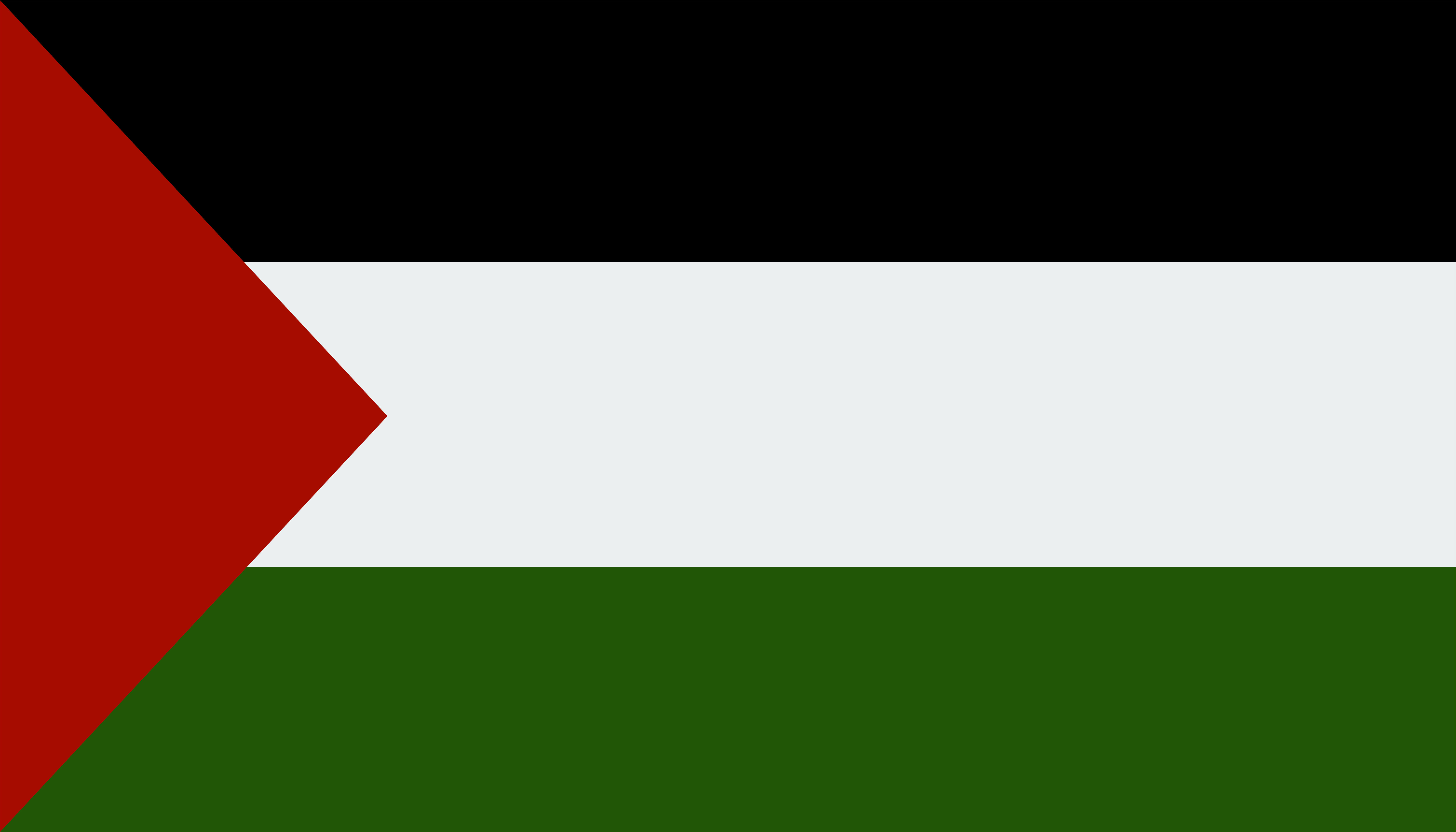 UAE Flag